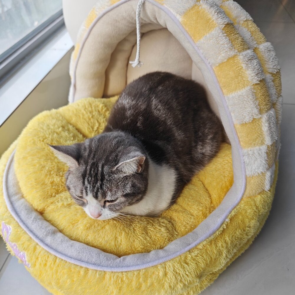 Plush Yellow Cat Bed for Small Cats